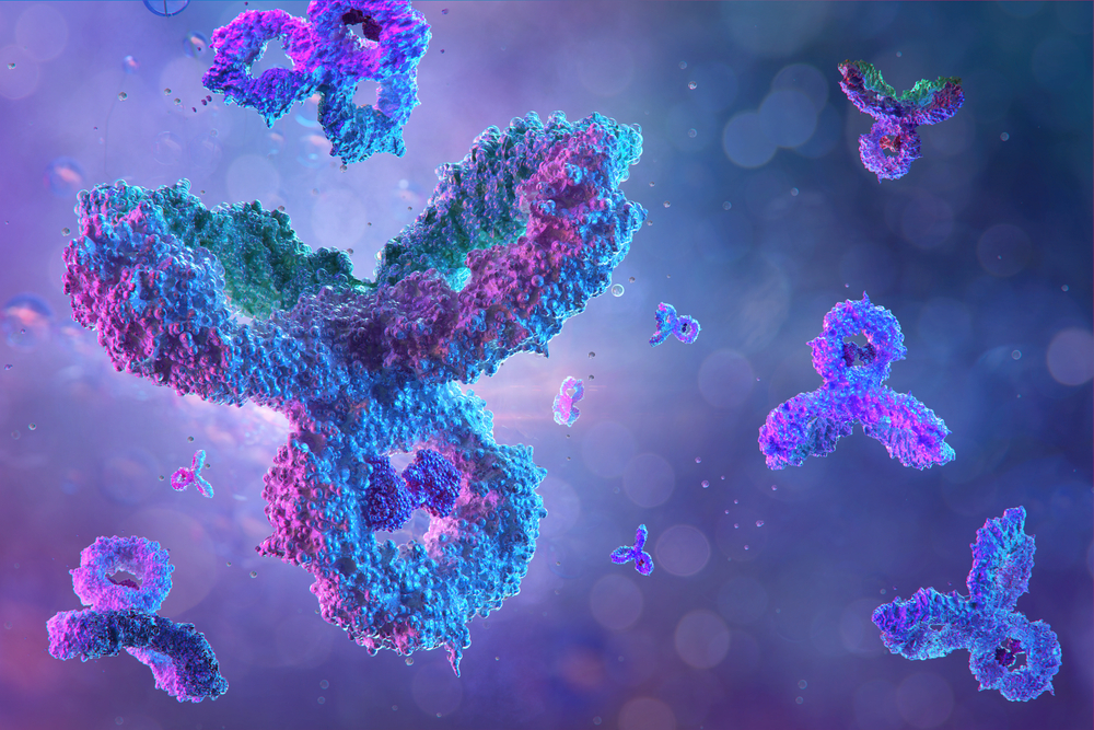 Immunoglobuline E allergène E