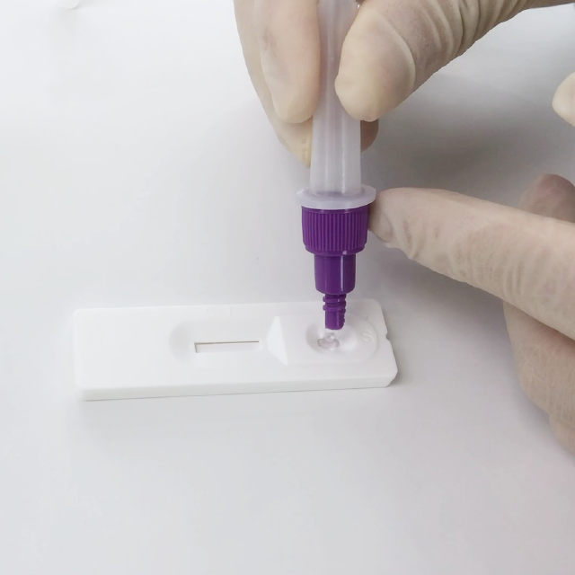 Kit d'antigène COVID-19 SARS-CoV-2 pour l'auto-test