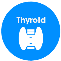 thyroïde