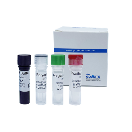 Kit de PCR du virus Monkeypox (MPXV)